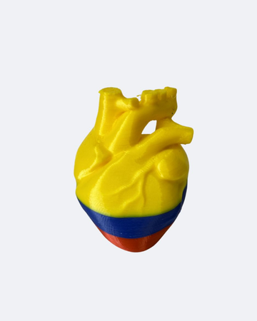 Anillo Colombia